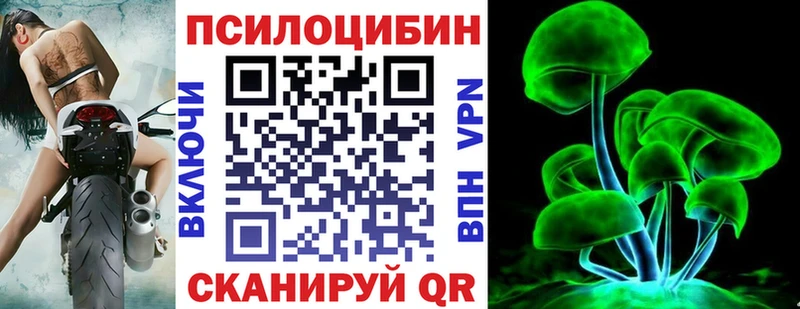 Галлюциногенные грибы Psilocybine cubensis Бикин